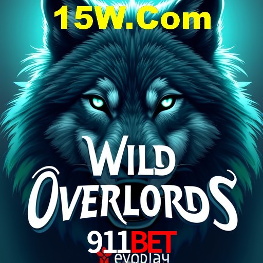 Interface Premium 911Bet